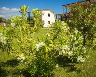 Коттеджный комплекс Чистая вода