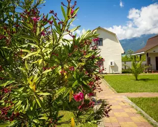 Коттеджный комплекс Чистая вода