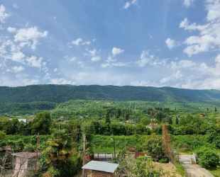 Гостевой дом Мушмула