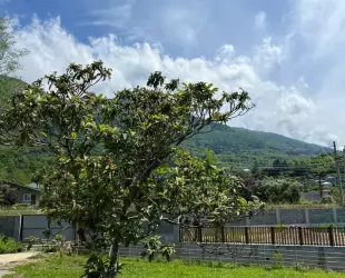 Гостевой дом Форелька