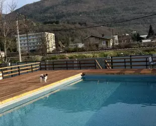 Гостевой дом Форелька