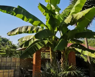 Гостевой дом Форелька