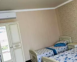 Апартаменты с кухней Гостевой дом Диана