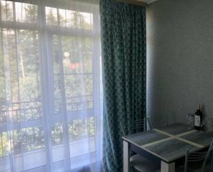 Апартаменты с кухней Гостевой дом Диана