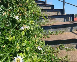 Гостевой дом Айсберг