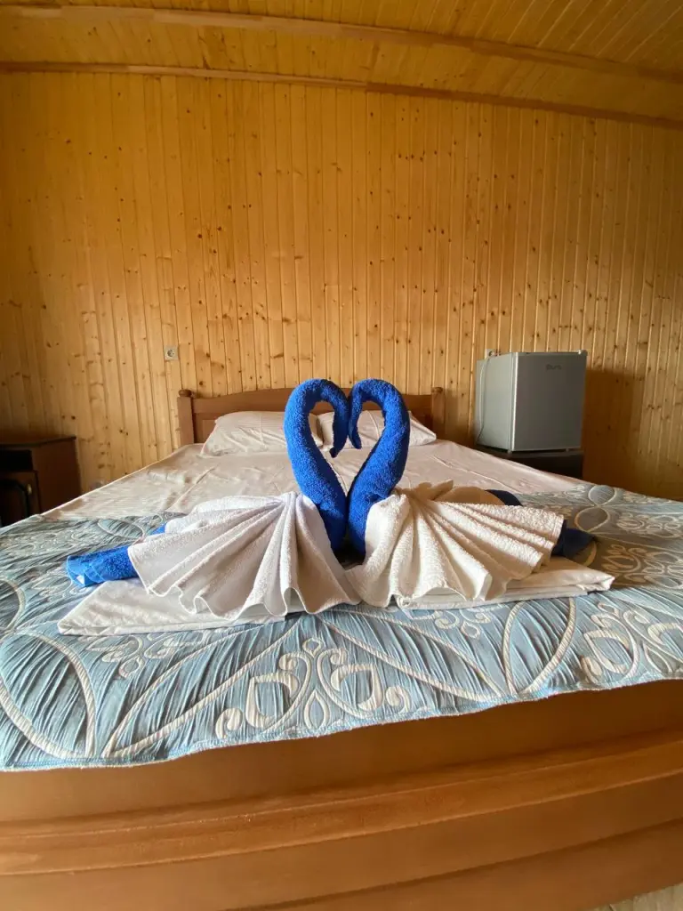 Двухместный номер с 1 двуспальной кроватью