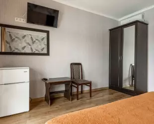 Двухместный номер с 1 кроватью 