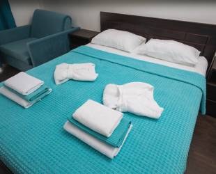 Семейный двухместный номер с 1 кроватью