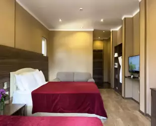 Трёхместный однокомнатный Супериор  c балконом 