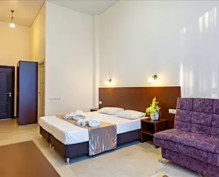 Супериор 3-местный однокомнатный номер