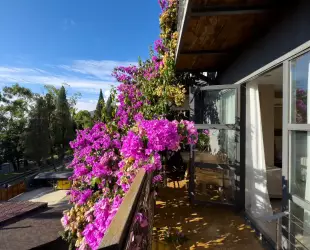 Трёхместный однокомнатный Супериор Плюс c балконом