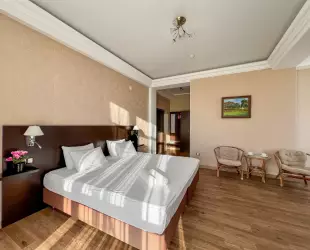 Superior Room с видом во внутренний двор