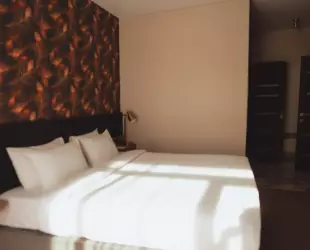 Standart с террасой и видом на парк