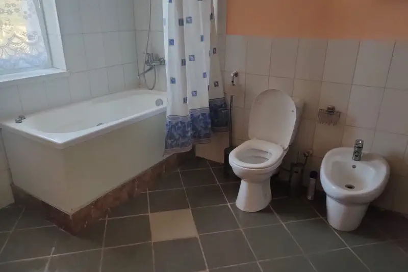 Апартаменты Люкс Мимоза