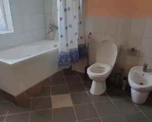 Апартаменты Люкс Мимоза