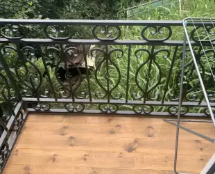 Четырехместный номер без вида на море