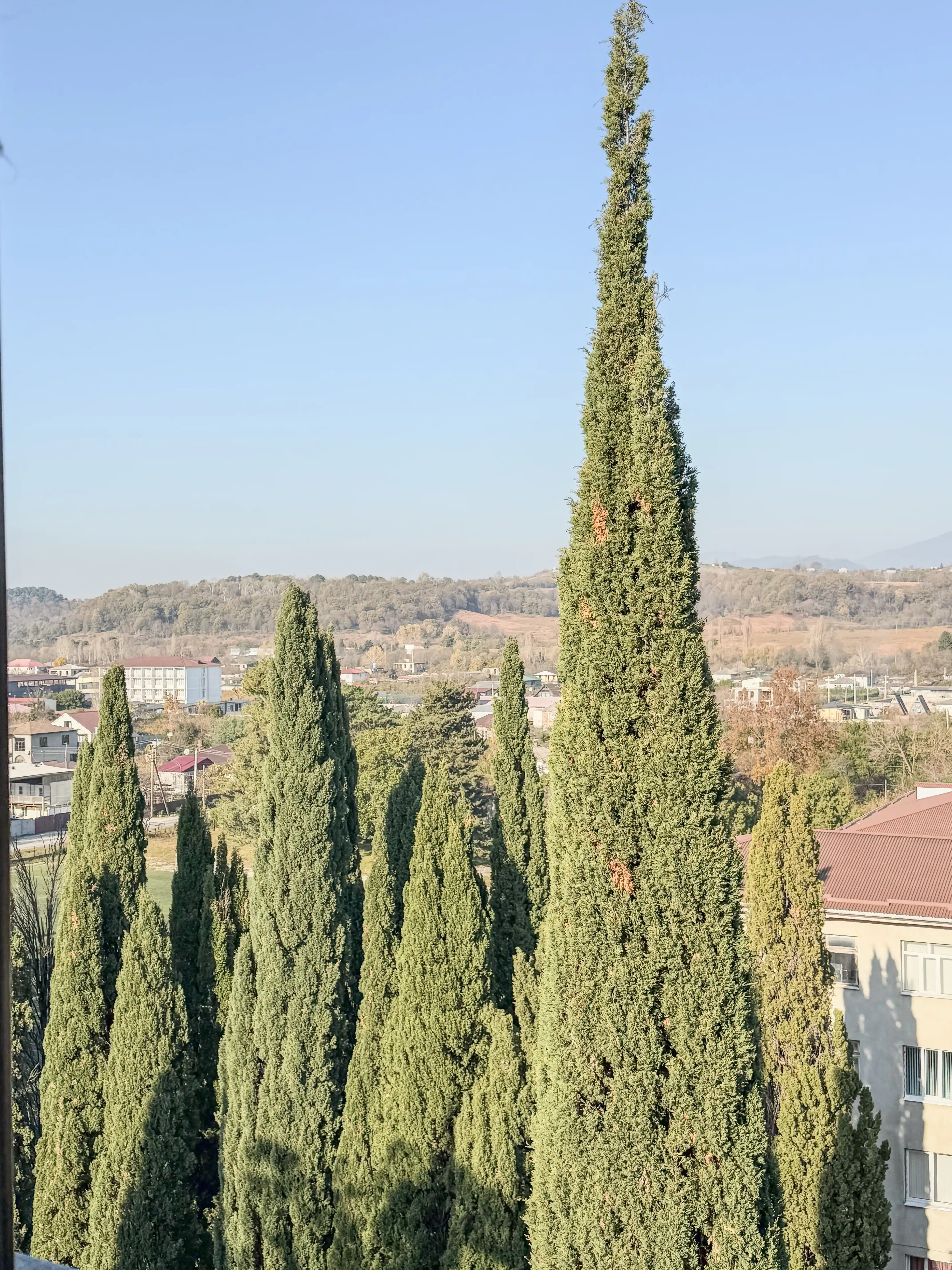 2-х местный Без балкона • Вид на горы • Корпус A