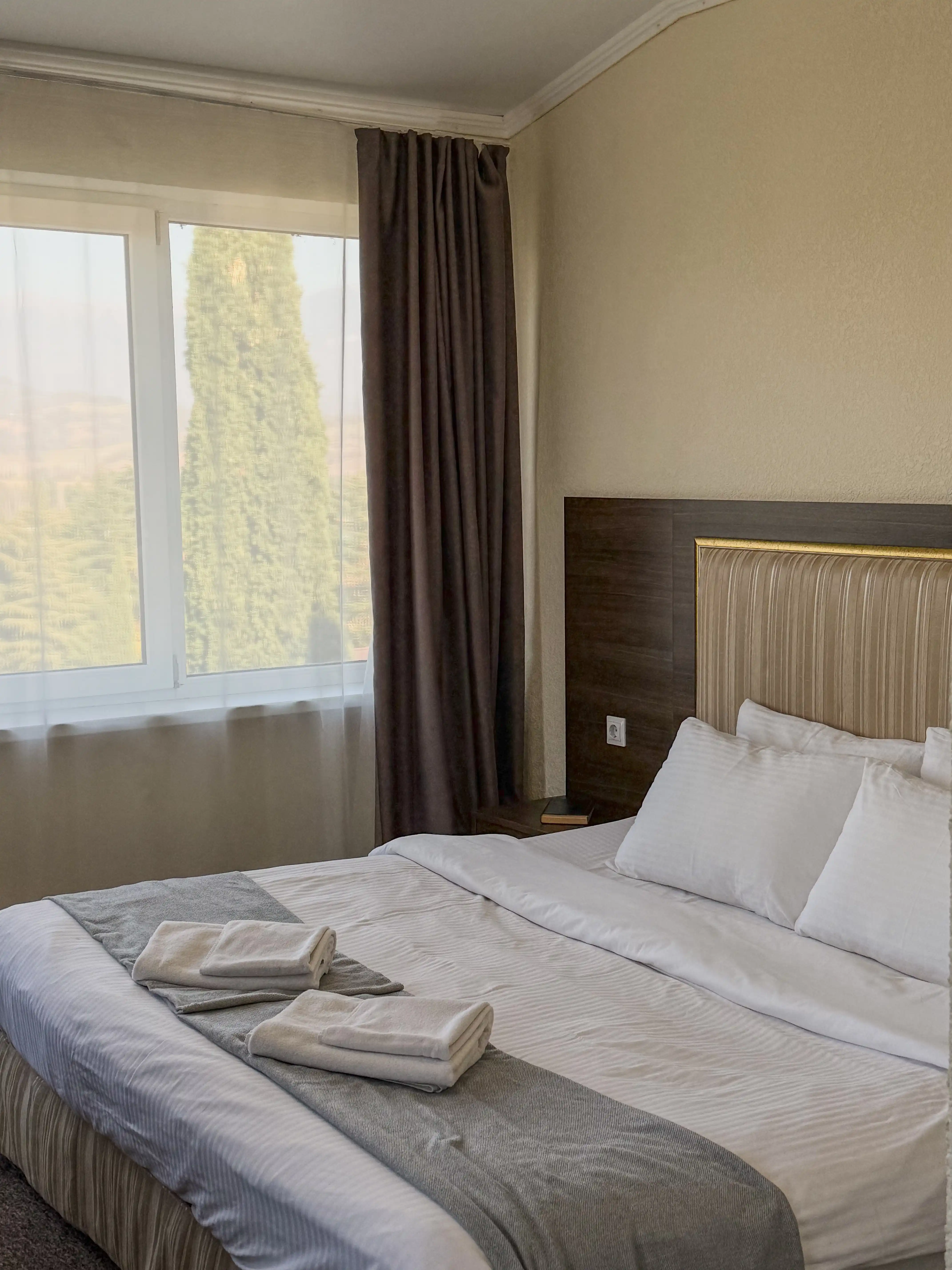 2-х местный Без балкона • Вид на горы • Корпус A