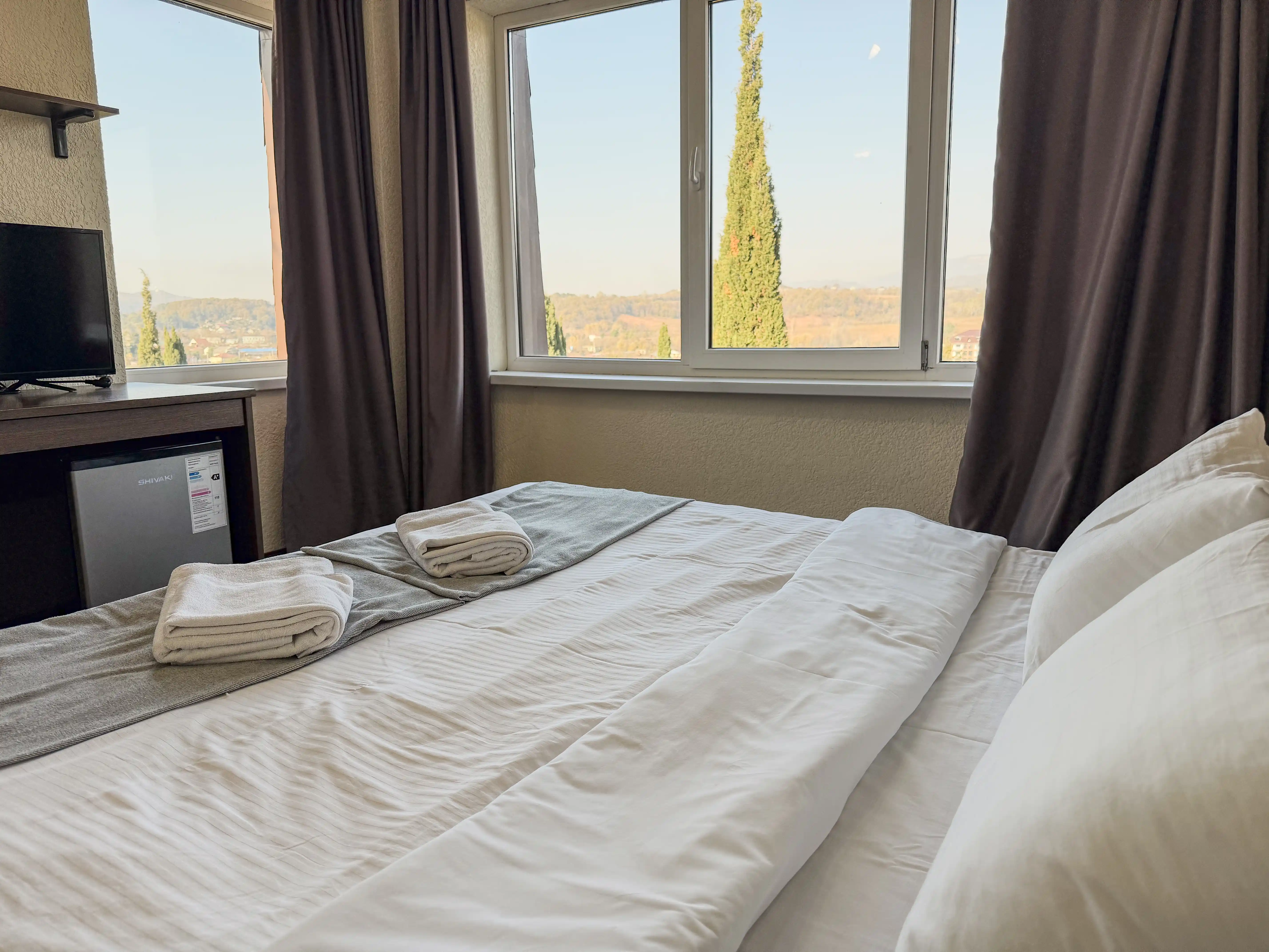 2-х местный Без балкона • Вид на горы • Корпус A