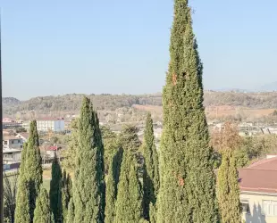 2-х местный Без балкона • Вид на горы • Корпус A