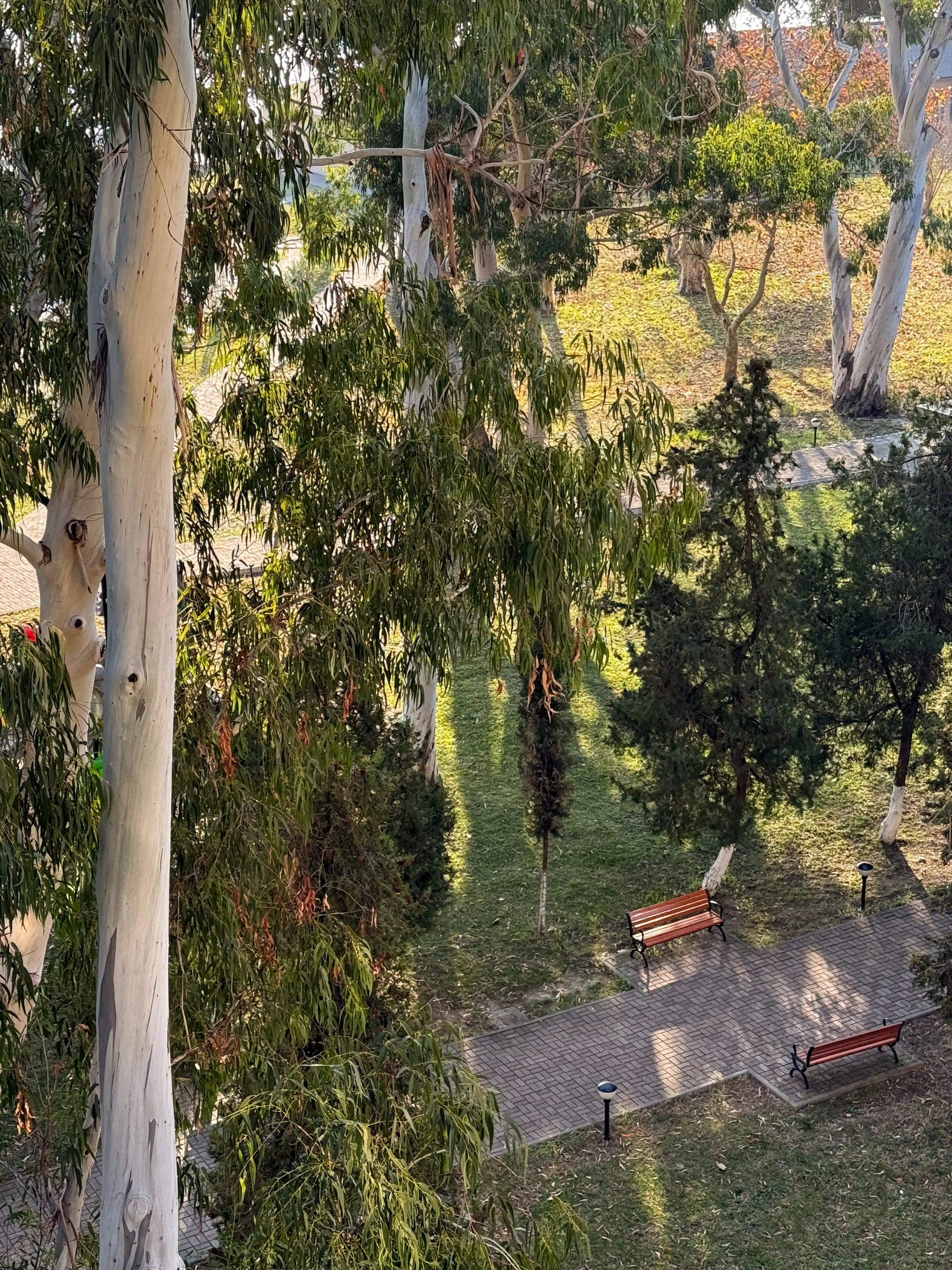 2 +1 местный С балконом • Вид на море • Корпус A