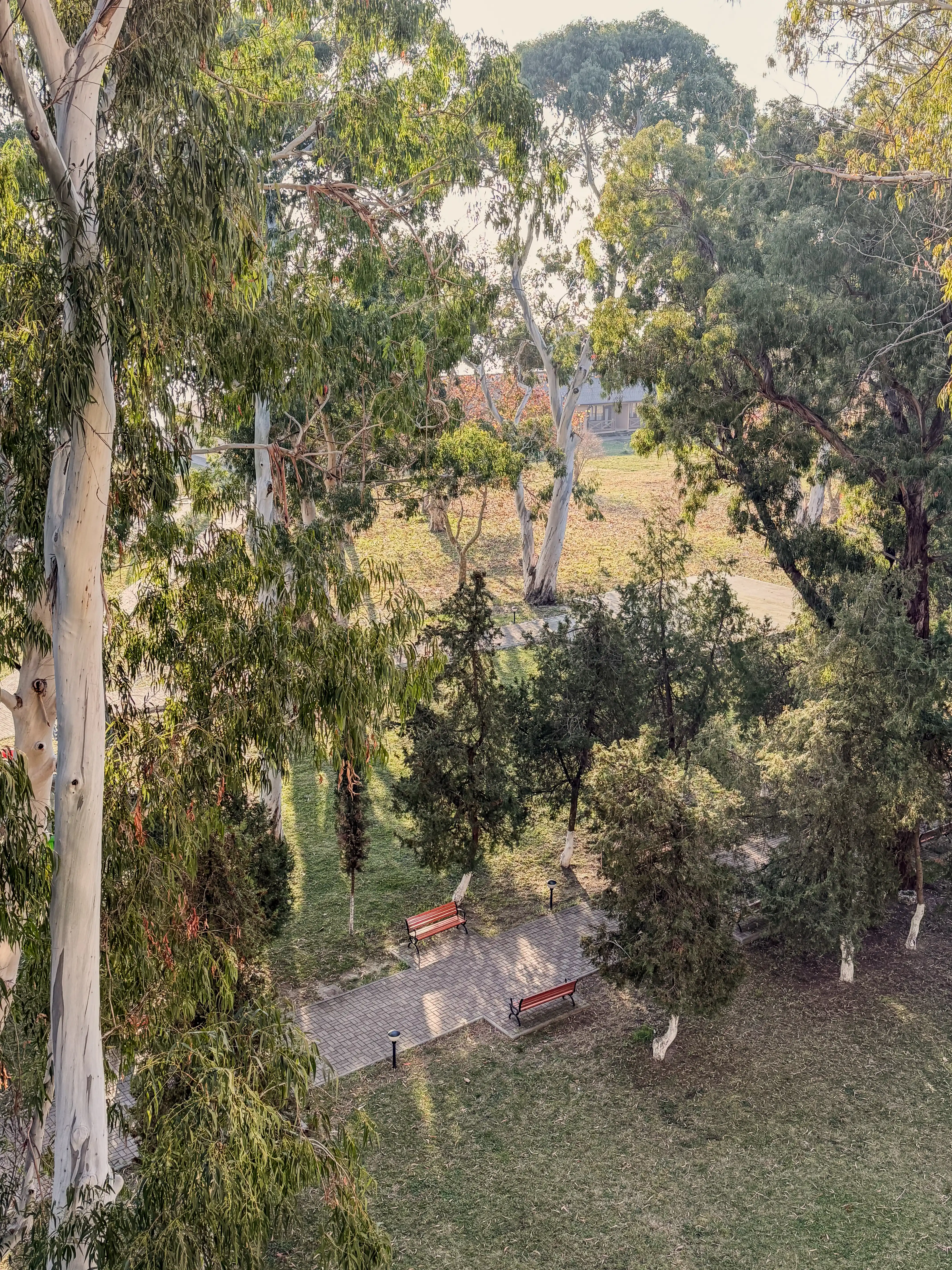 2 +1 местный С балконом • Вид на море • Корпус A