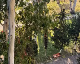 2 +1 местный С балконом • Вид на море • Корпус A