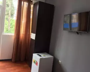 Двухместный номер с 1 кроватью и балконом