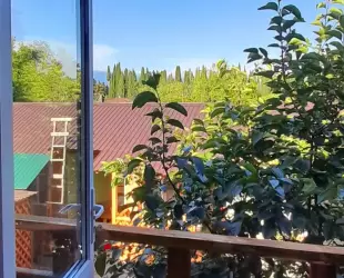 Двух этажный дом с кухней