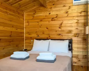 Двухместный однокомнатный Standart c террасой