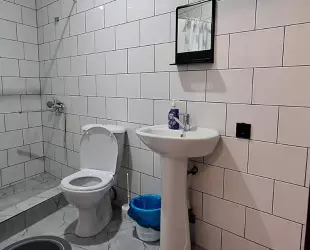 Стандартный четырехместный номер 