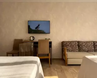 Четырехместный однокомнатный Сьют с балконом